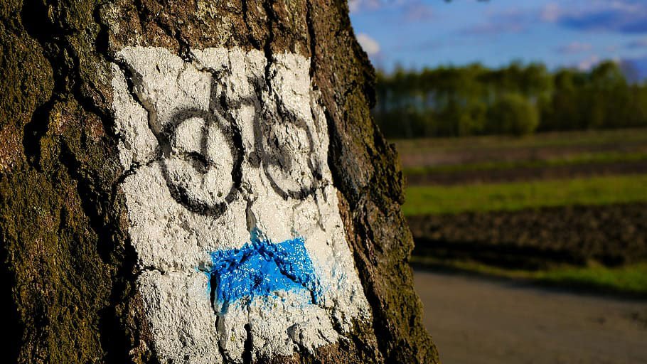Fietsroute